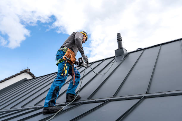 Best Sheet Metal Roofing  in Port Hueneme, CA